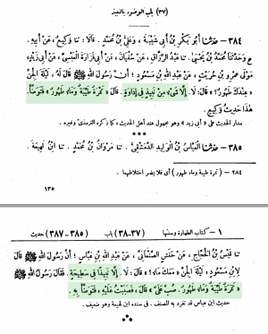 Ibn-Majjah-page-135-g